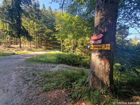 Redno vzdrževanje gozdnih cest (11)